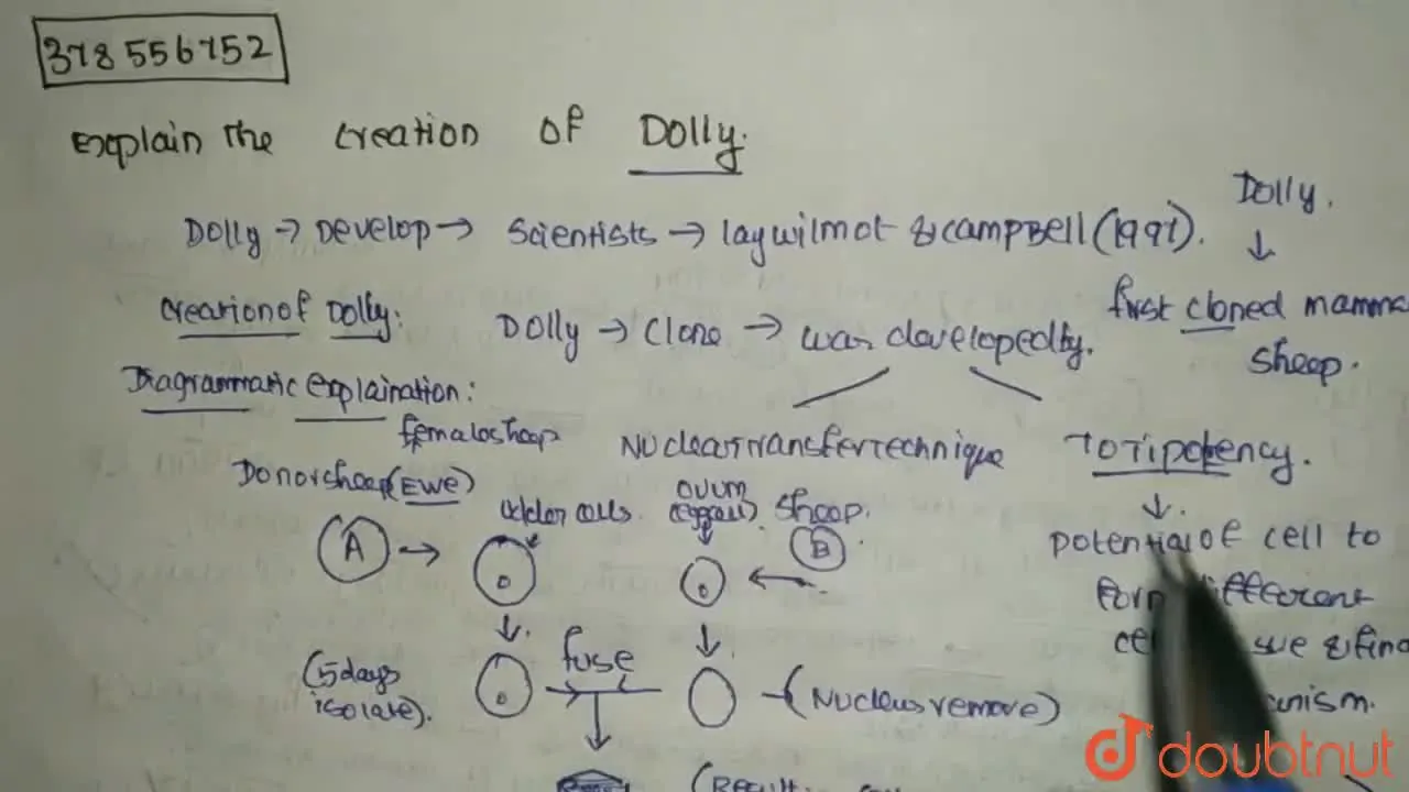 [Tamil Solution] Explain the creation of Dolly