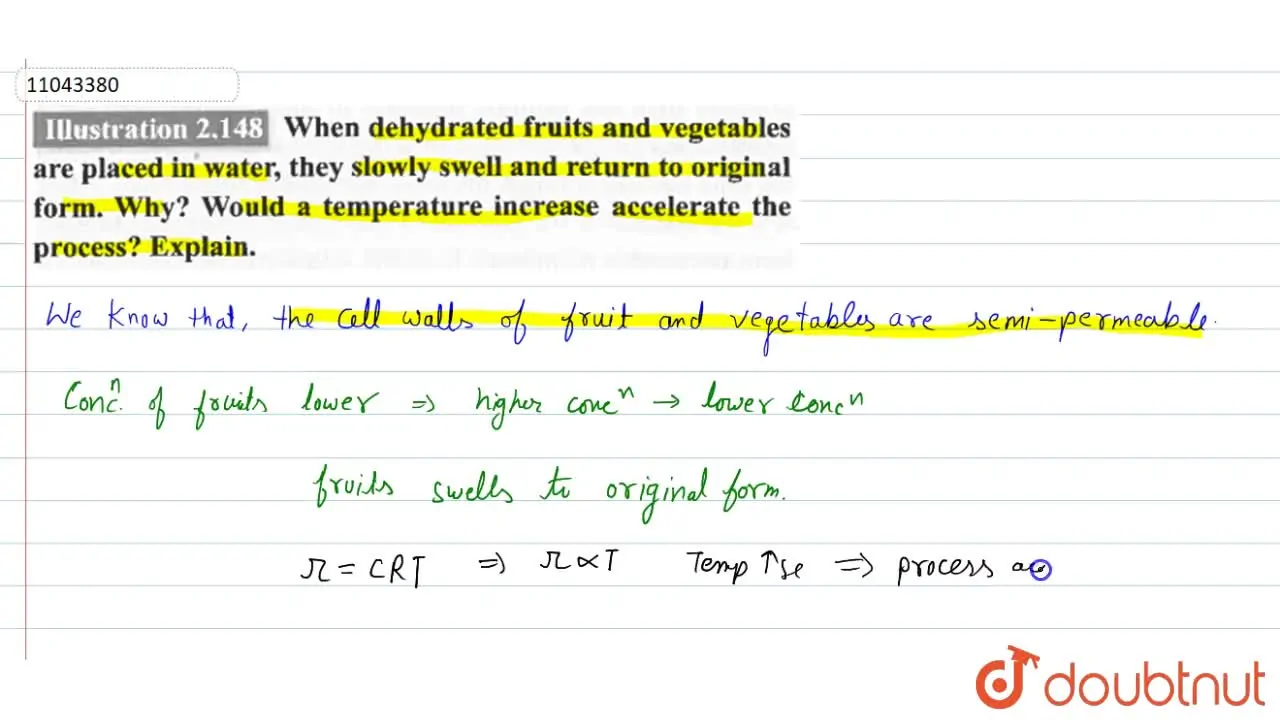 When dehydrated fruits and vegetables are placed in water, they slowly