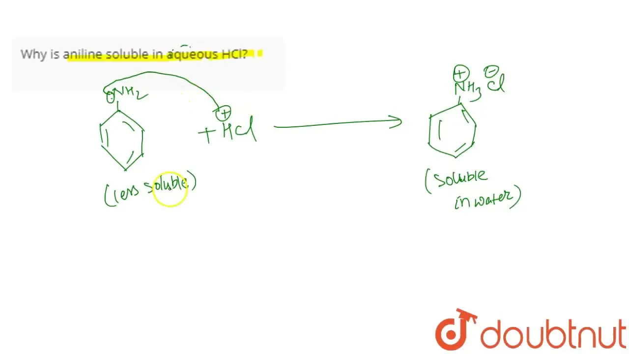 Why Is Aniline Soluble In Aqueous Hcl 7649