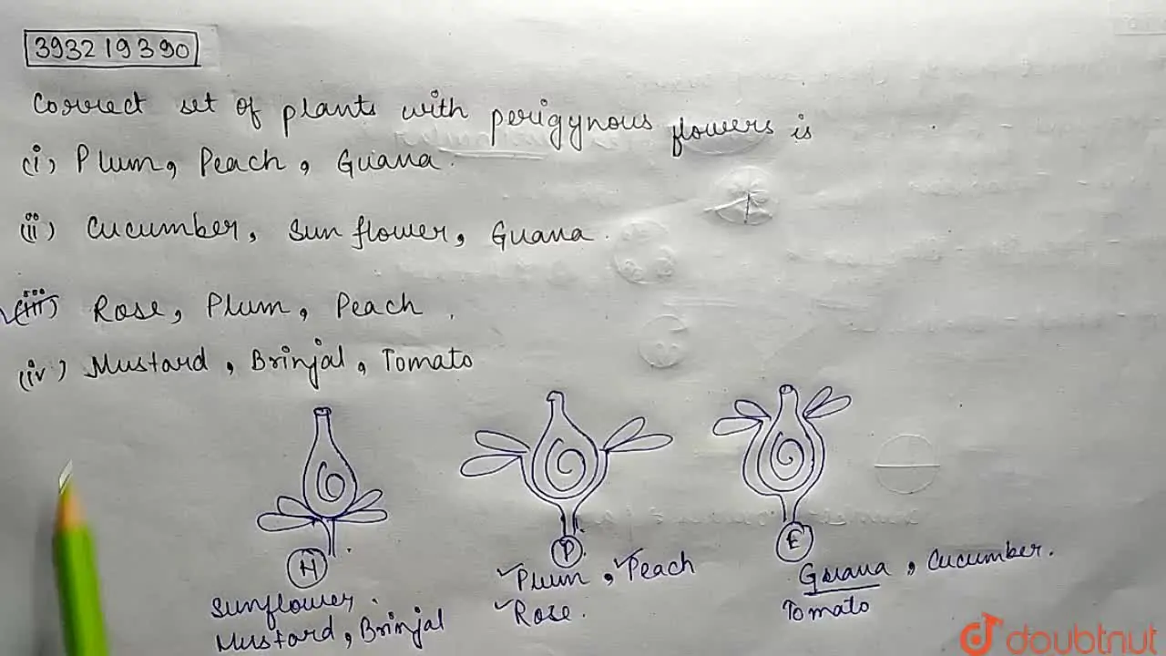 Correct set of plants with perigynous flowers is