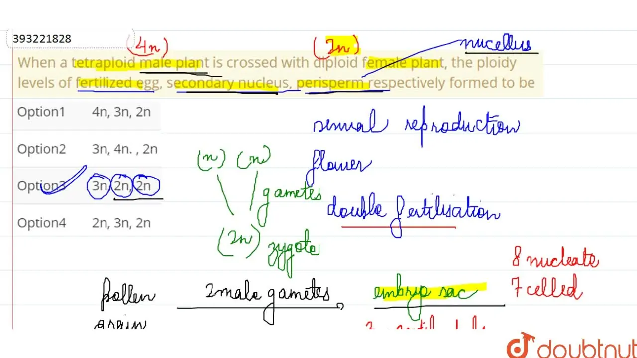 When A Tetraploid Male Plant Is Crossed With Diploid Female Plant, The