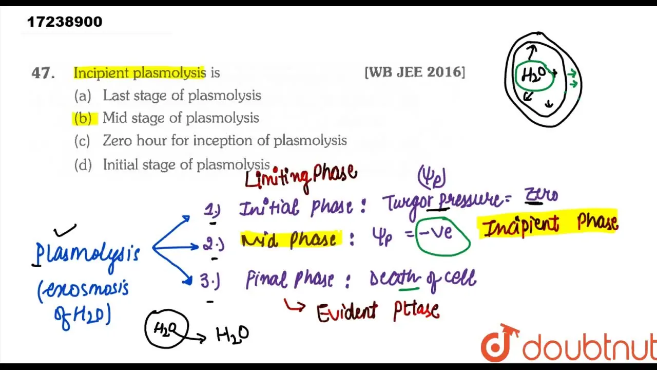 Incipient plasmolysis is