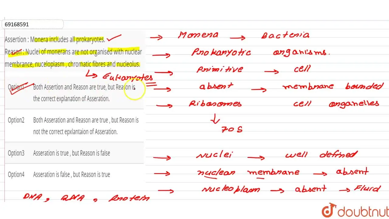 Prokaryotic monera (97) foto