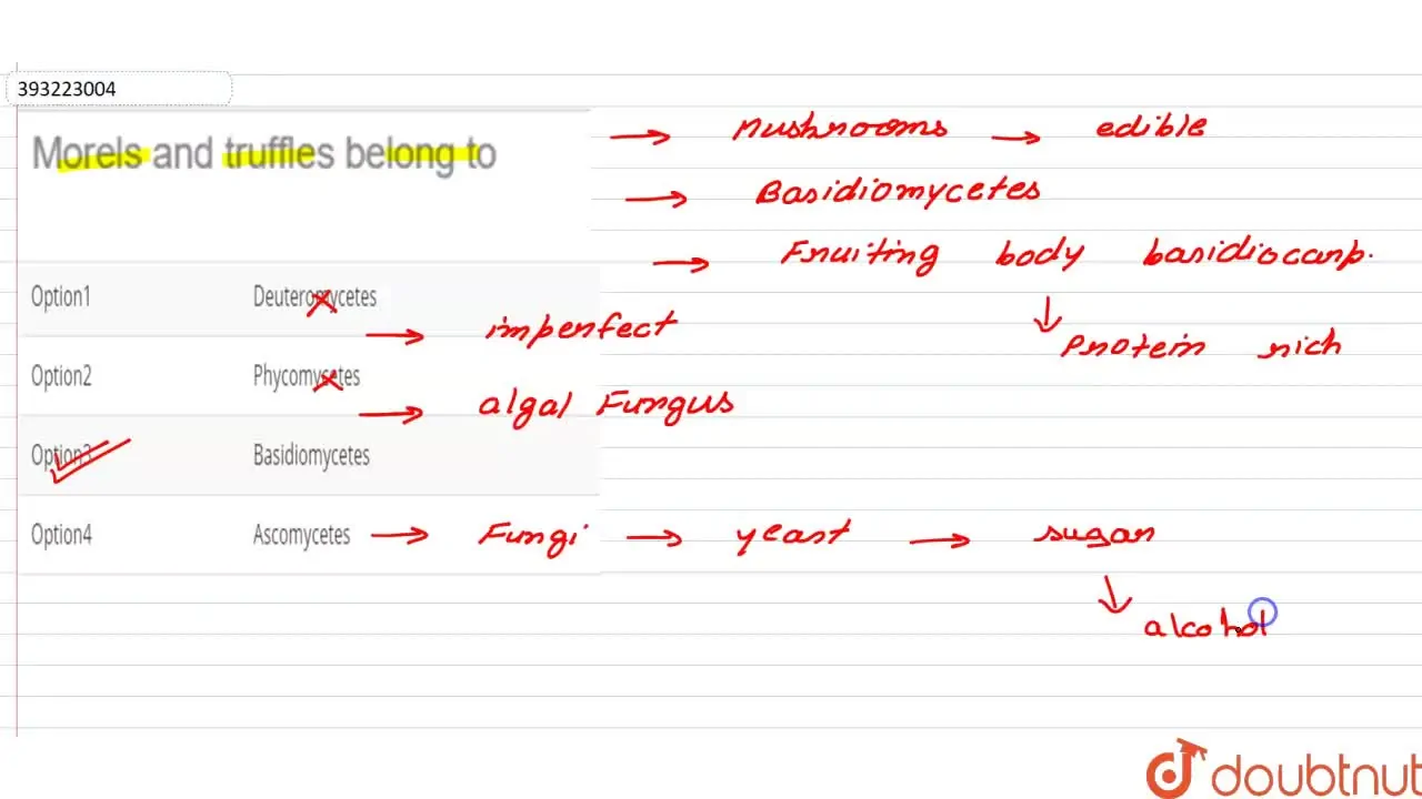 Morels and truffles belong to