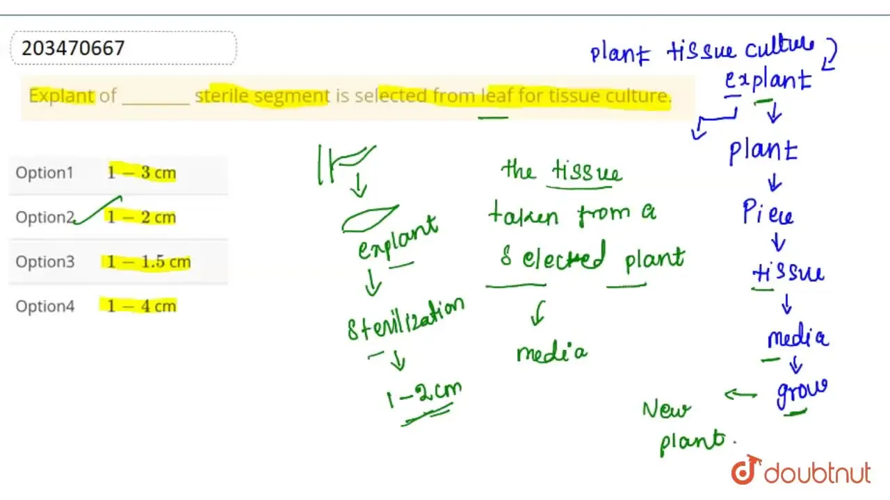 [Tamil Solution] Explant of sterile segment is selected from leaf fo