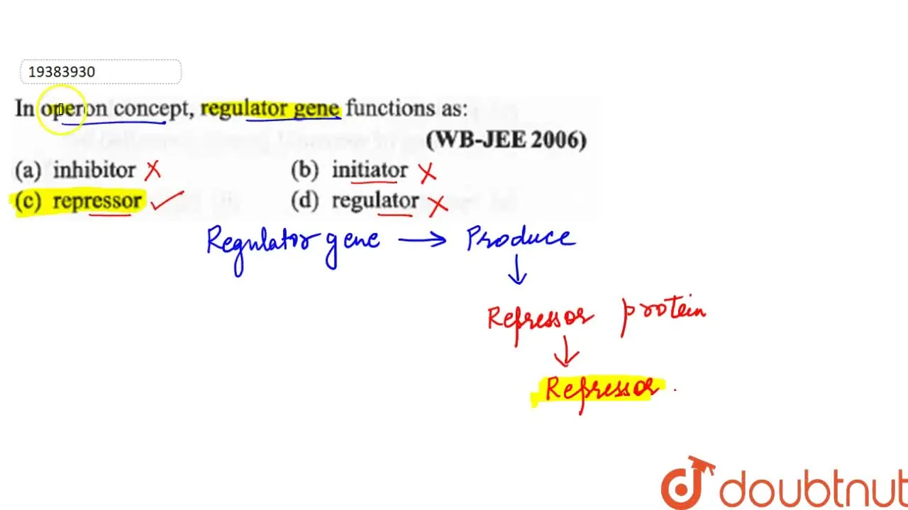 In operon concept, regulator gene functions as