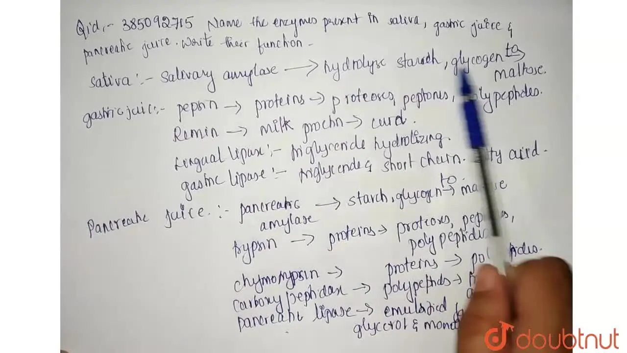 [Kannada Solution] Name the enzymes present in saliva, gastric juice a
