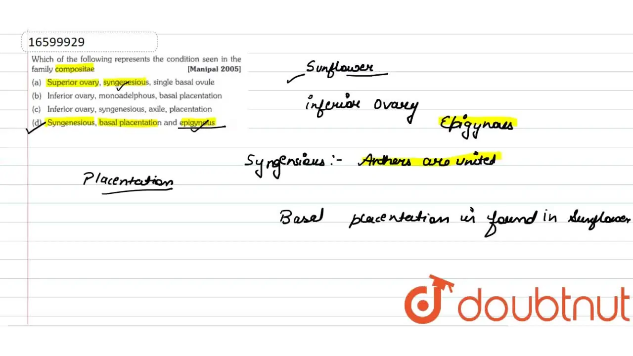 Inferior ovary, syngenesious, axile placentation