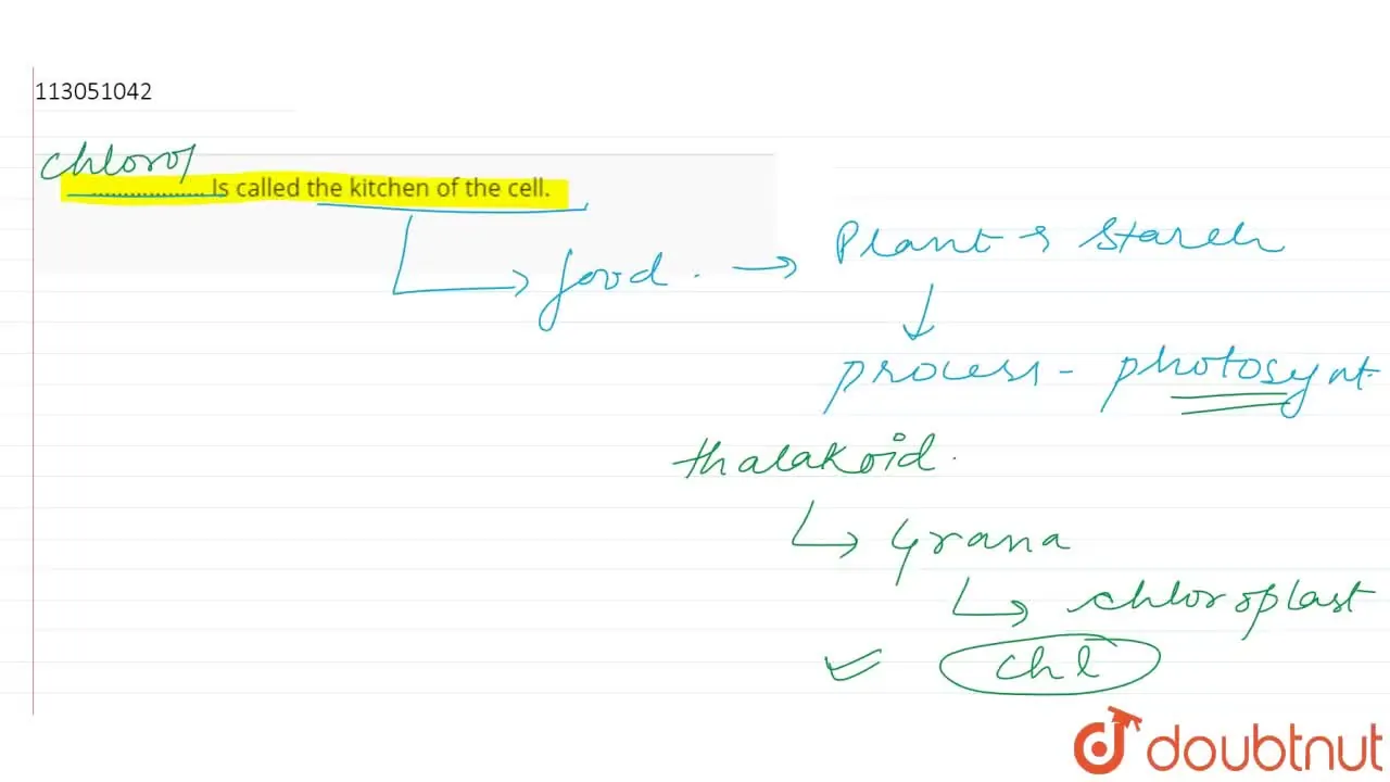 Is called the kitchen of the cell.