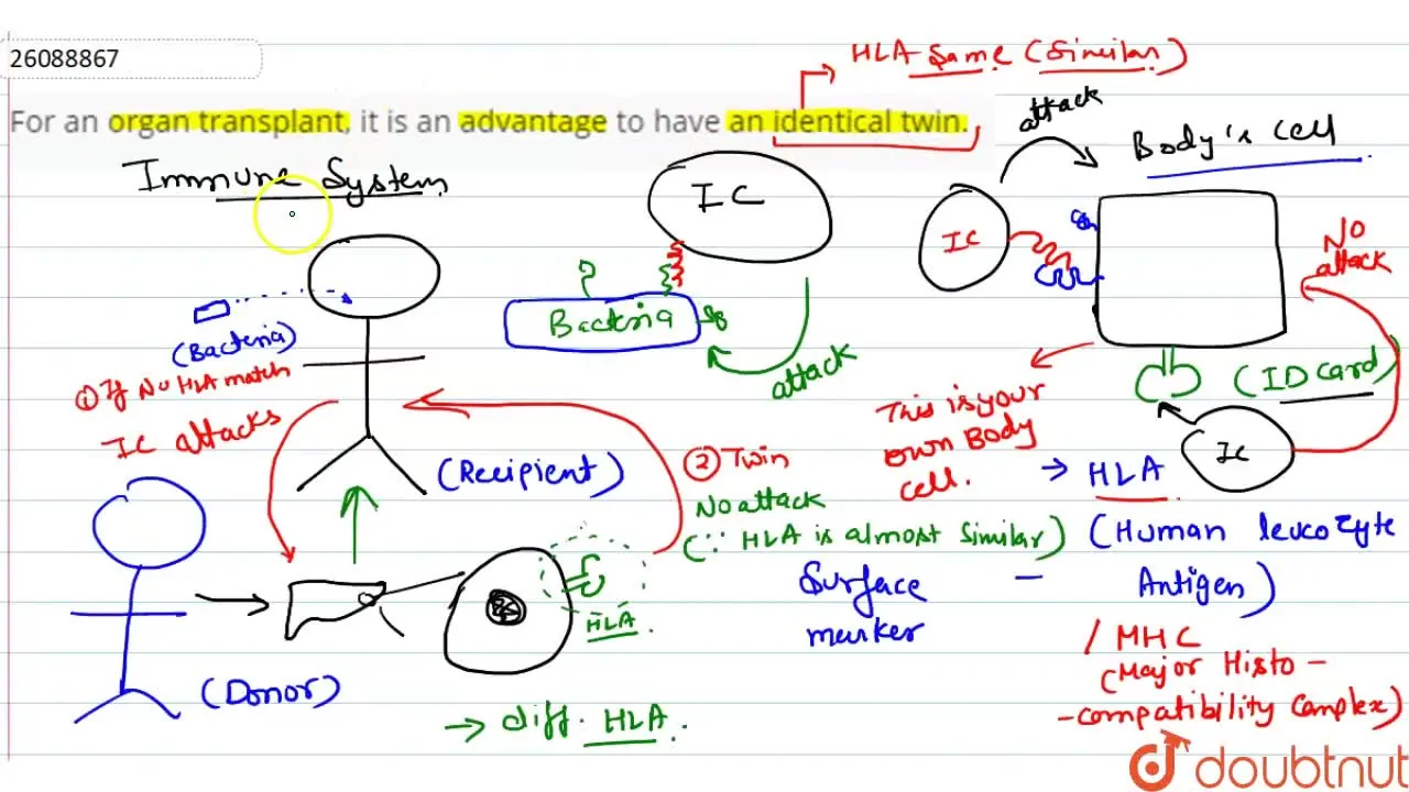 For an organ transplant, it is an advantage to have an identical twin.