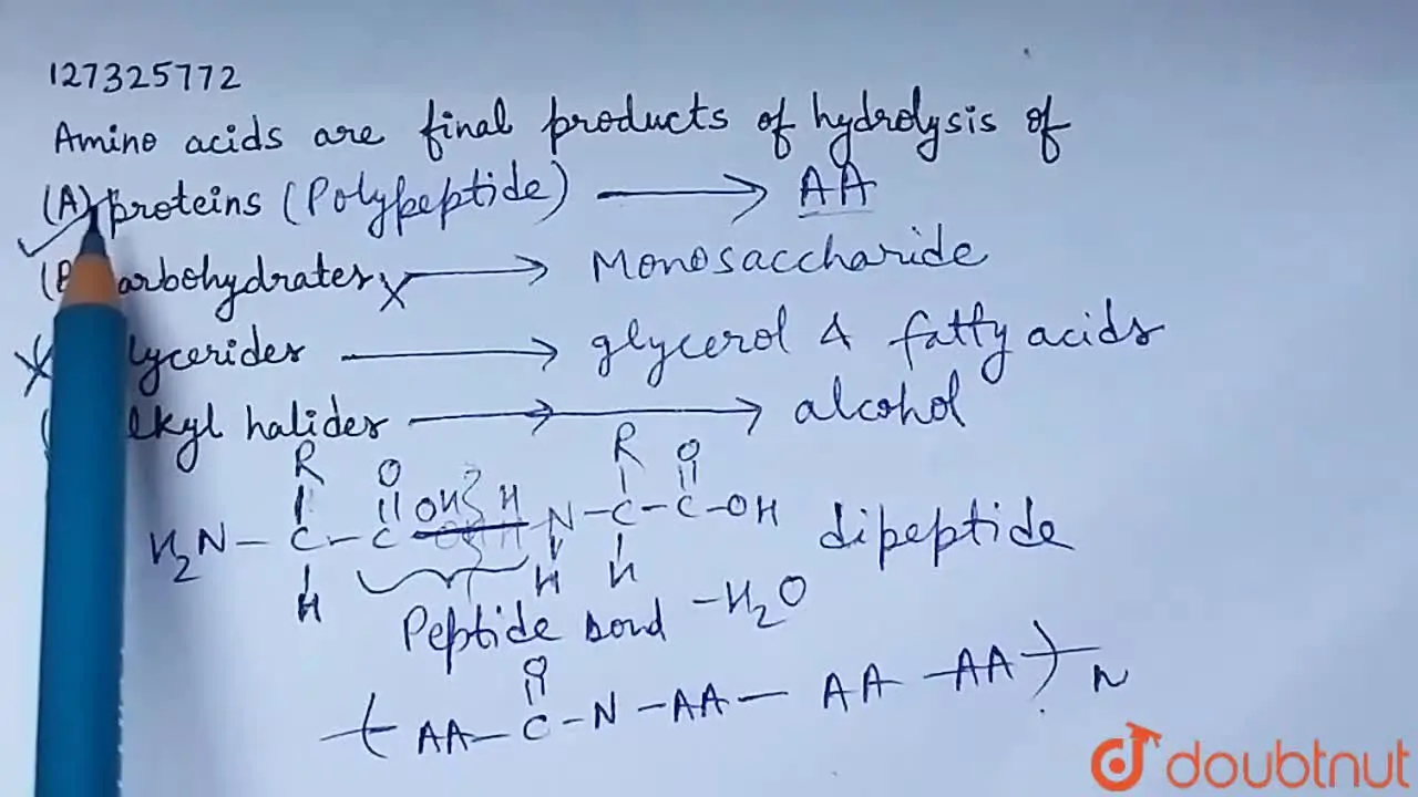 Amino acids are final products of hydrolysis of