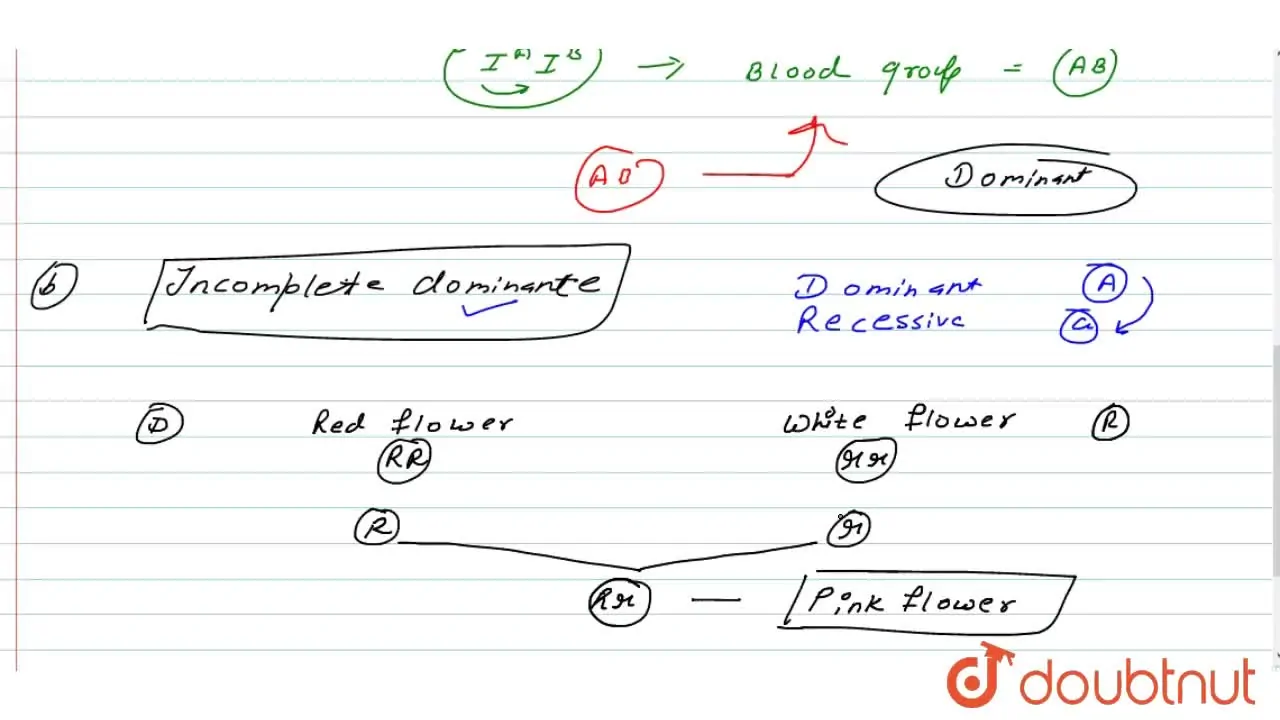 Explain The Following Terms With Example (a) Co-dominance (b) In