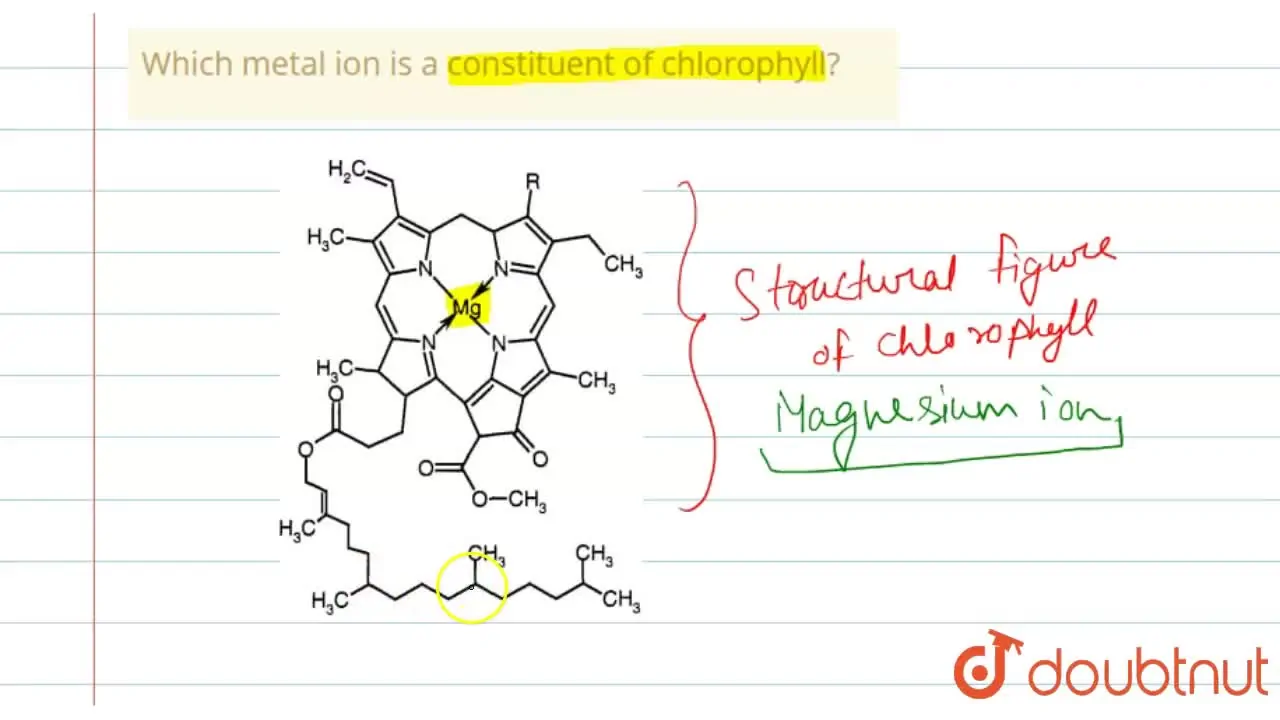 Solved (25) 3. Porphyrin rings occur, for example, in | Chegg.com