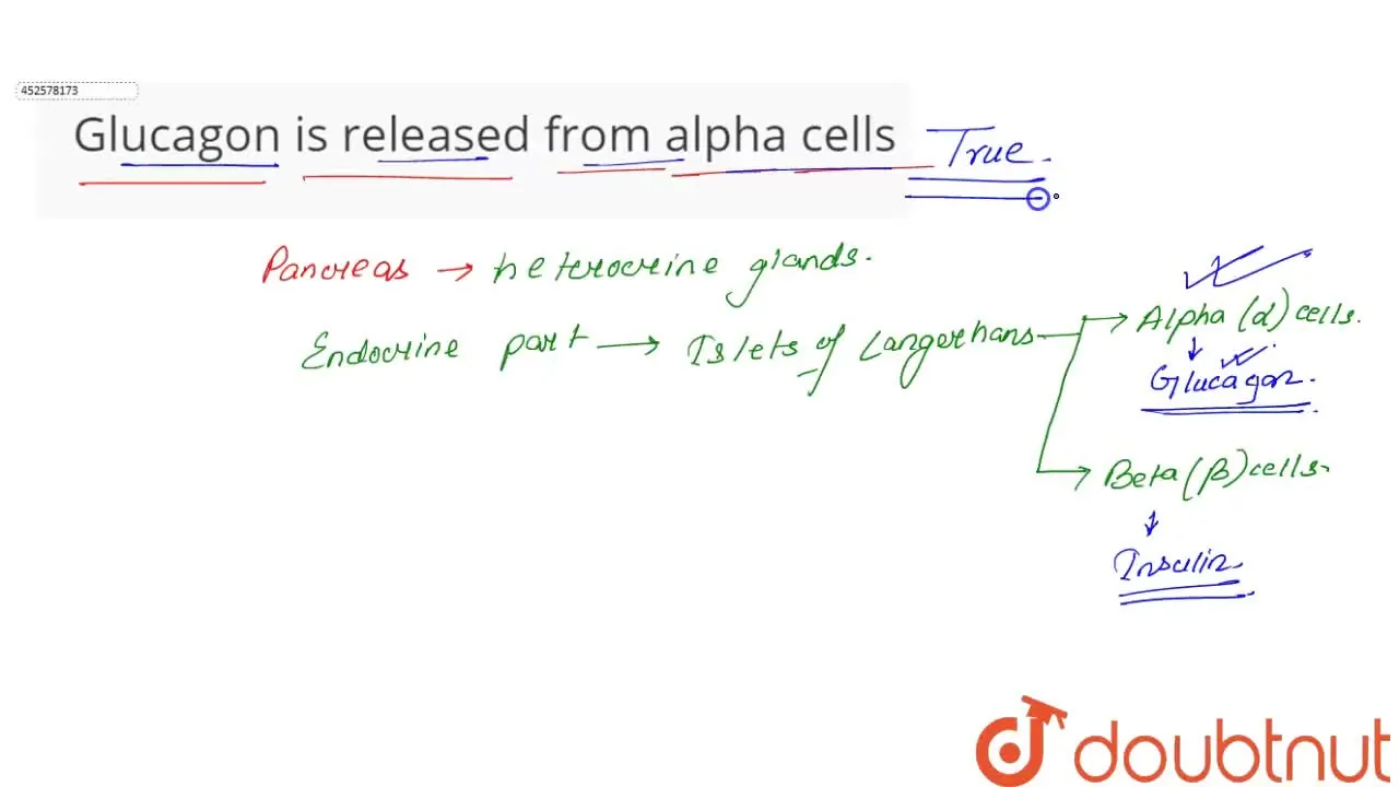 Glucagon is released from alpha cells