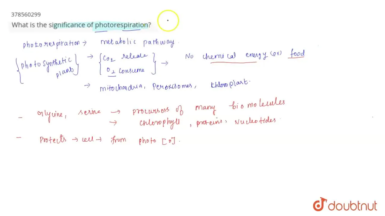 [Tamil Solution] What is the significance of photorespiration?