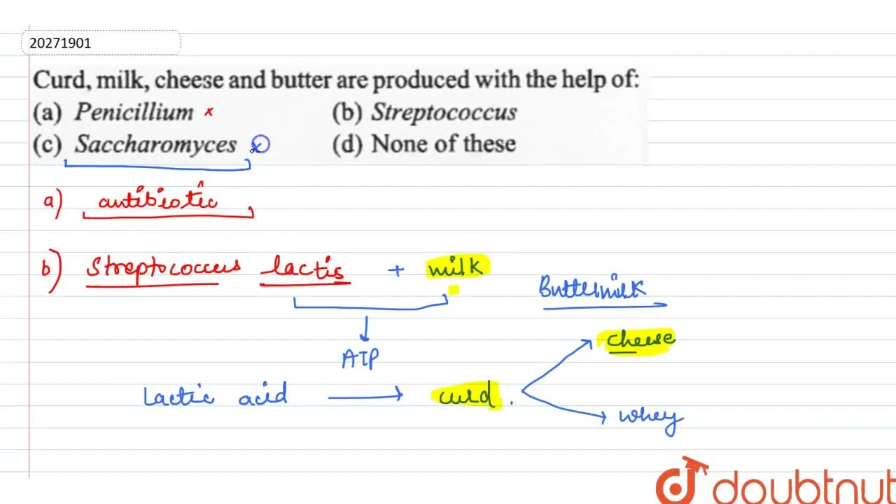 Curd, milk, cheese and butter are produced with the help of