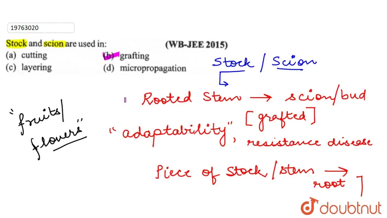 Stock and scion are used in