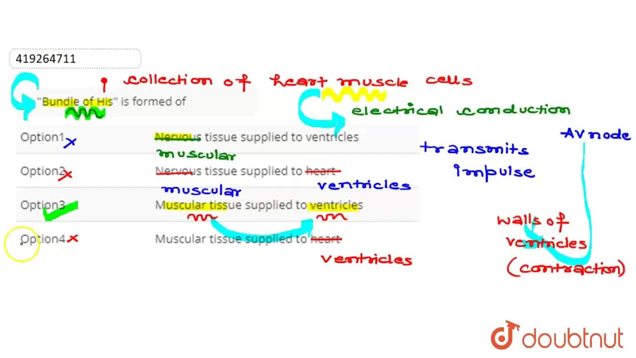 "Bundle of His" is formed of