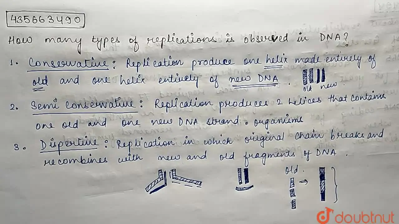 How Many Types Of Replication Is Observed In Dna?