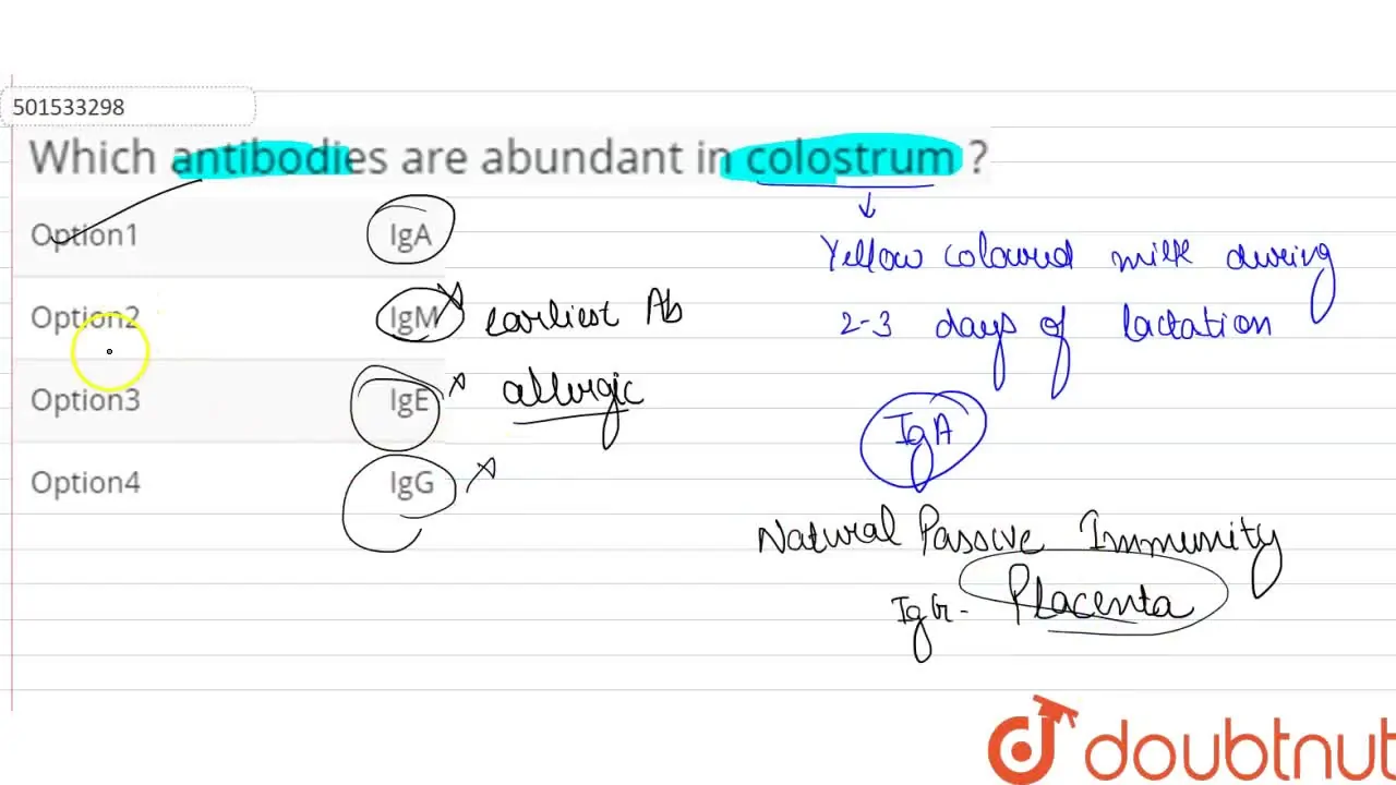 Which antibodies are abundant in colostrum