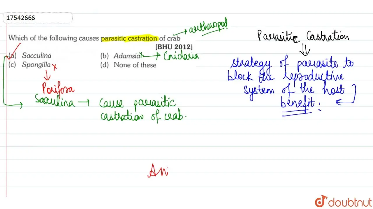Which of the following causes parasitic castration of crab
