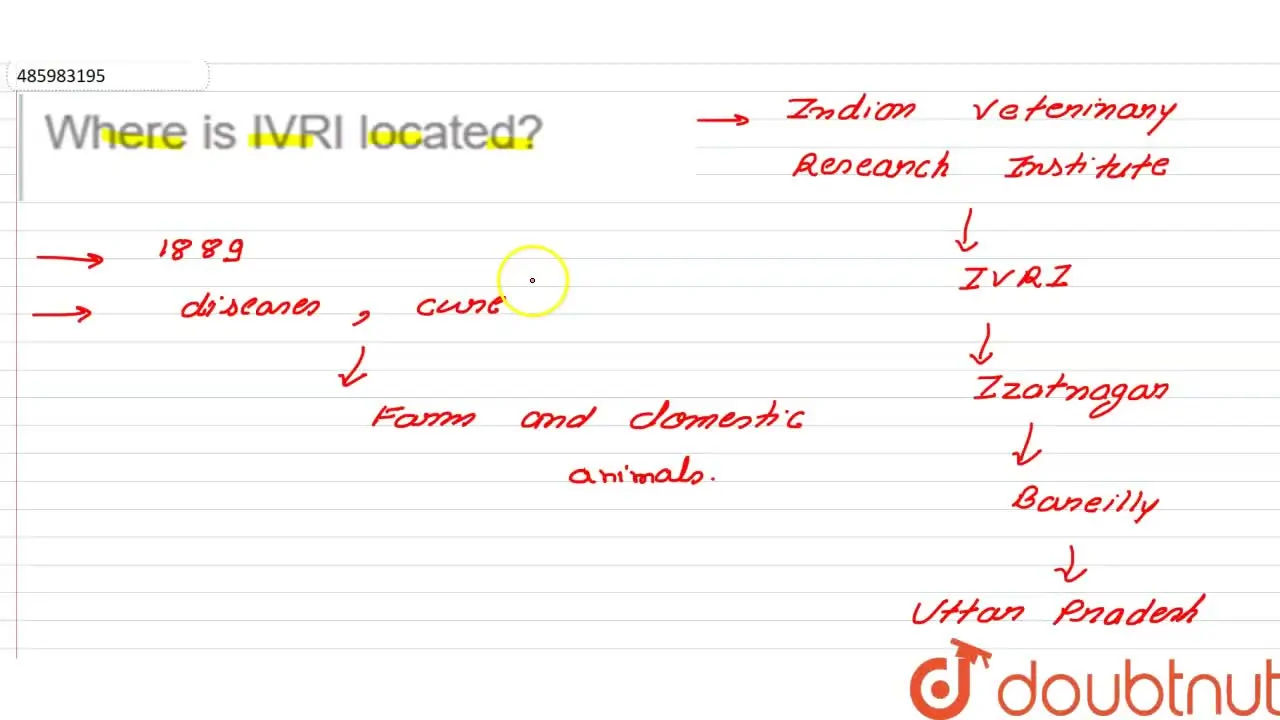 where-is-ivri-located