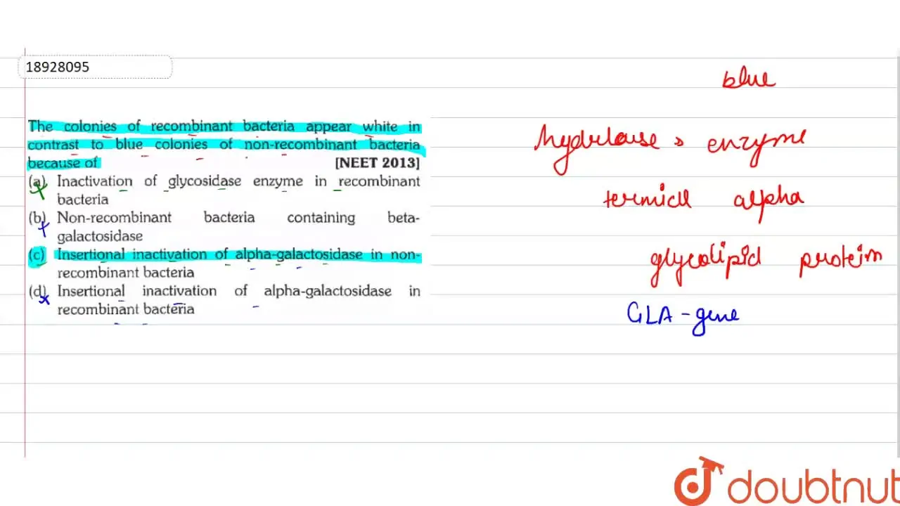 Insertional inactivation of alpha-galactosidase in non-recombinant bac