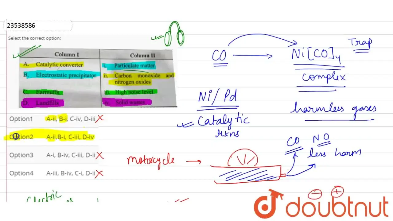Select the correct option
