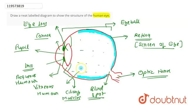 Draw a neat diagram of electric motor. Name the parts - CBSE Class 10  Science - Learn CBSE Forum