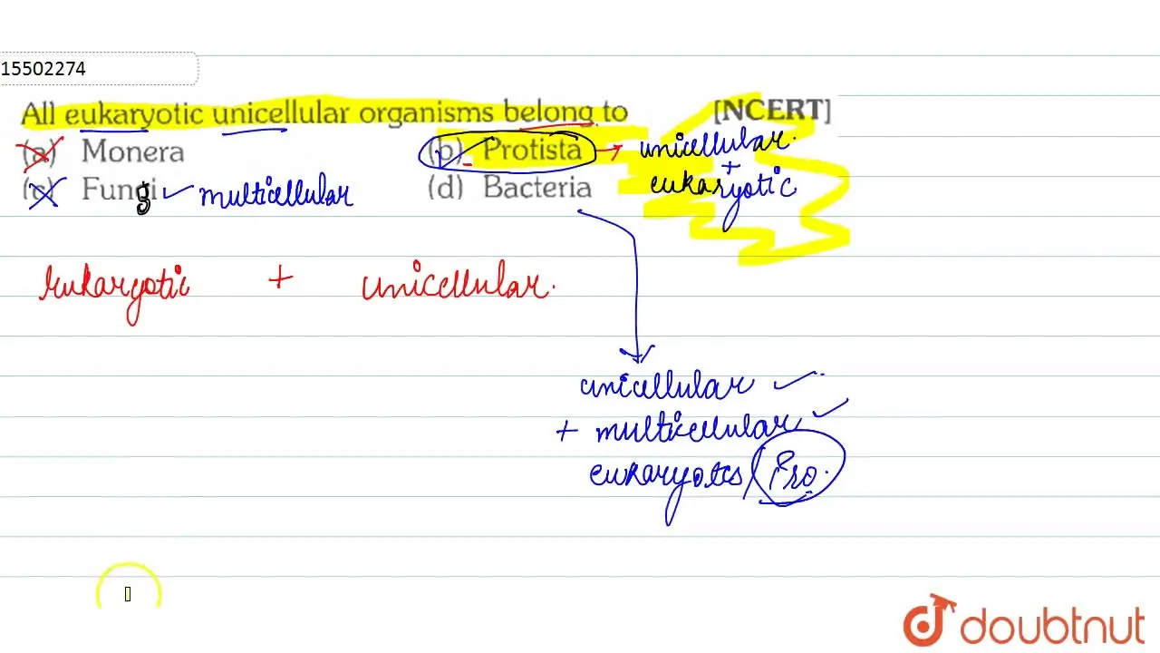 All eukaryotic unicellular organisms belong to