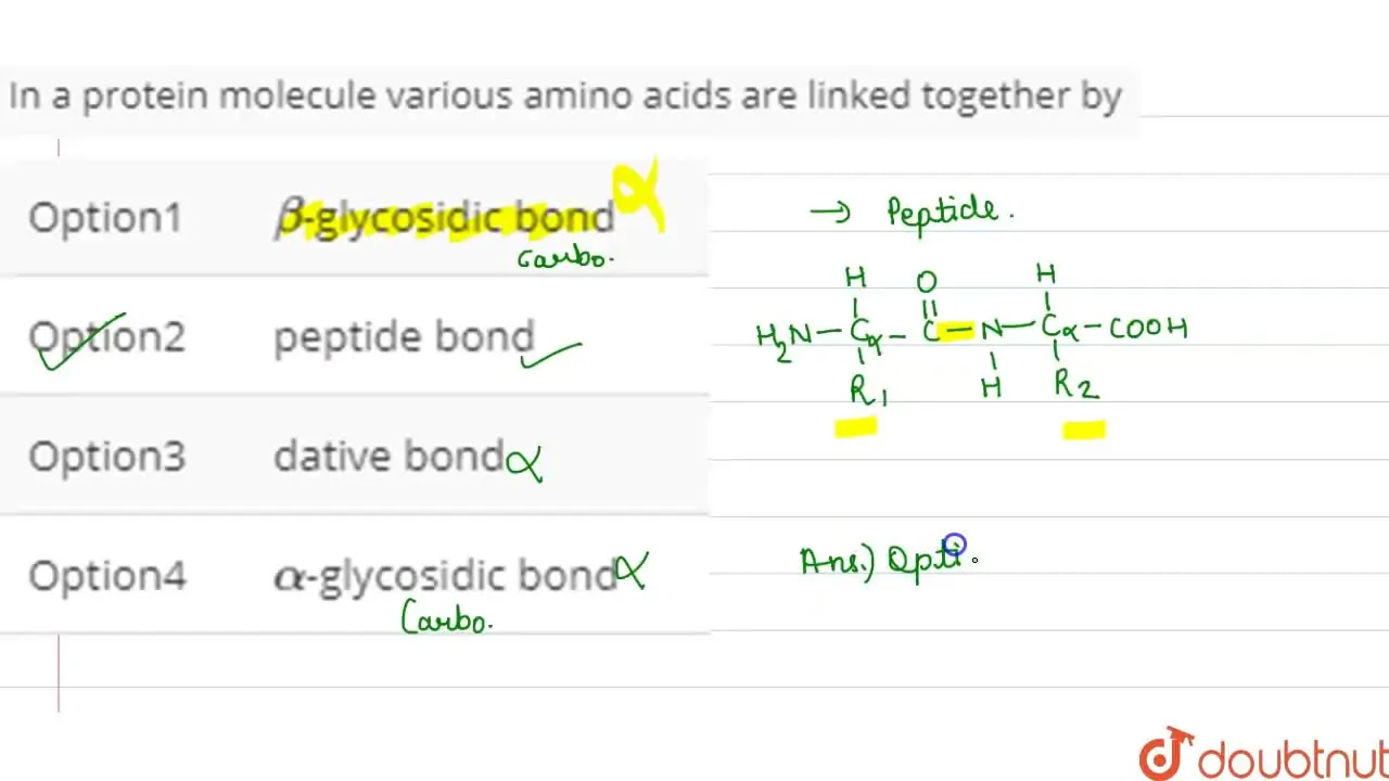 In a protein molecule various amino acids are linked together by