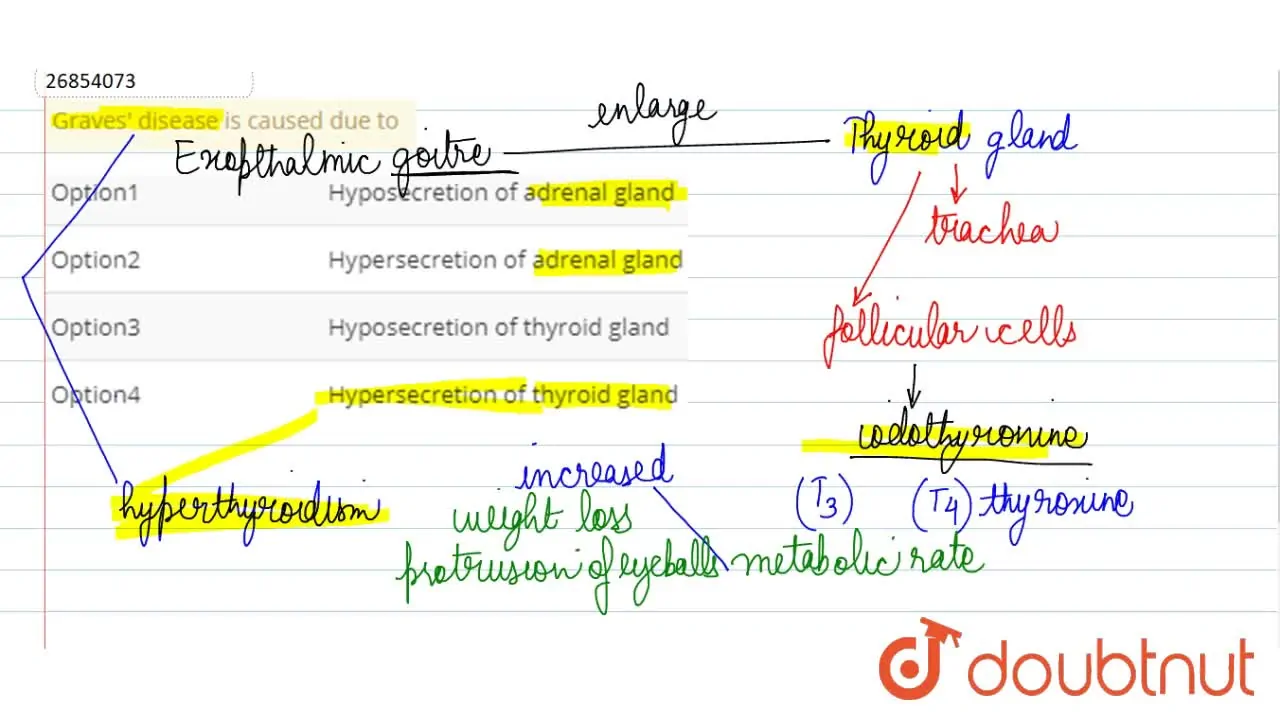 Graves' disease is caused due to