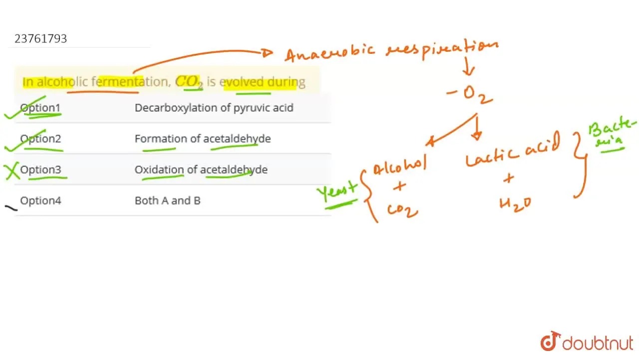 In Alcoholic Fermentation CO 2 Is Evolved During   607913.webp