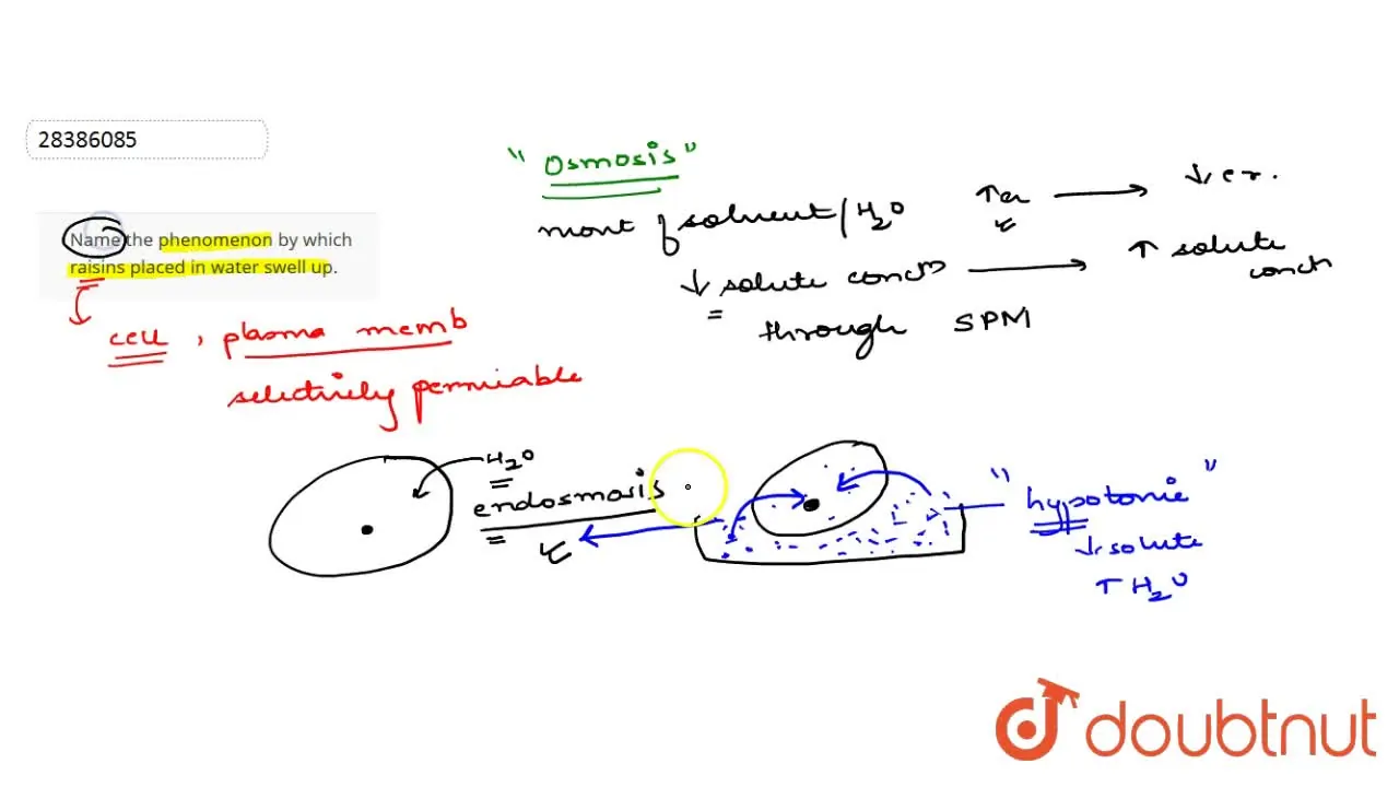 Name the phenomenon by which raisins placed in water swell up.