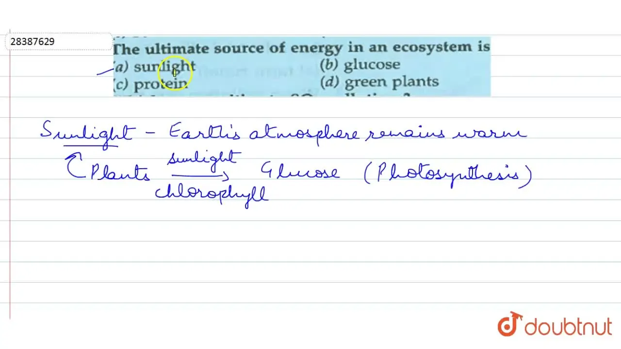 the-ultimate-source-of-energy-in-an-ecosystem-is