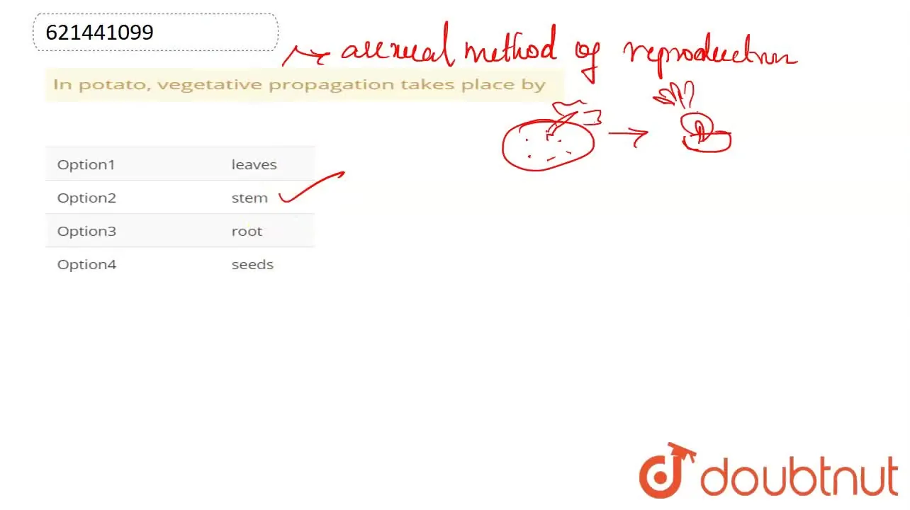 In potato, vegetative propagation takes place by