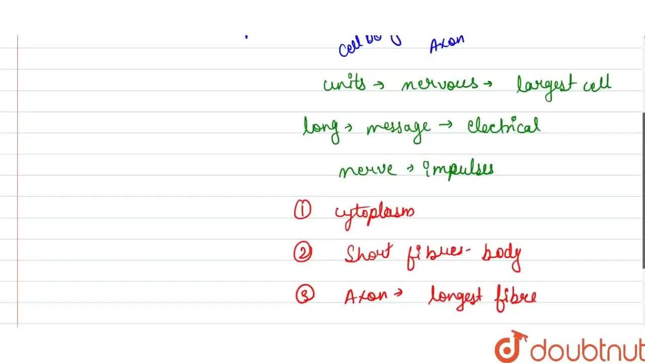 Draw The Structure Of A Neuron And Explain Its Function 2086