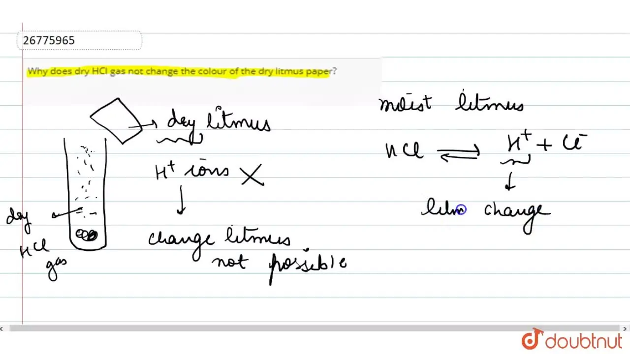 Why does dry HCl gas not change the colour of the dry litmus paper?