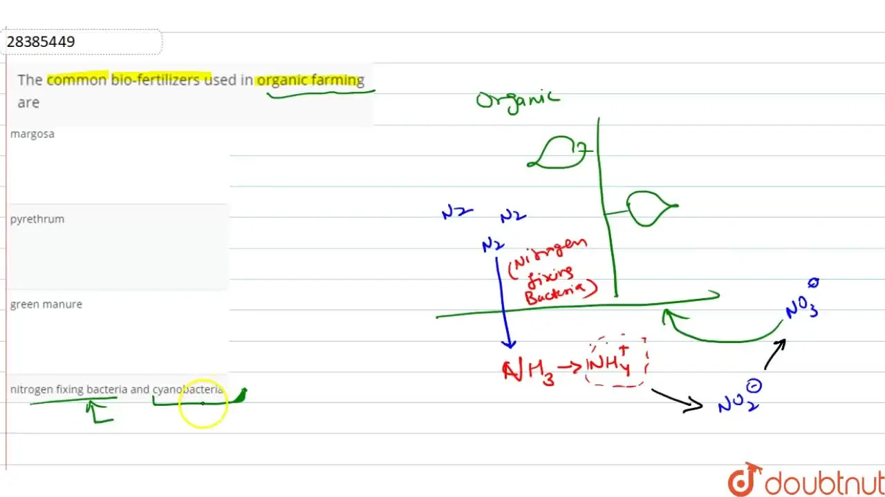 The common biofertilizers used in organic farming are