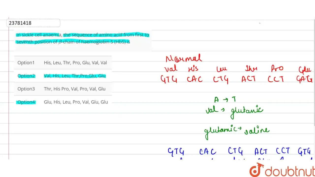 In sickle cell anaemia, the sequence of amino acid from first to seven