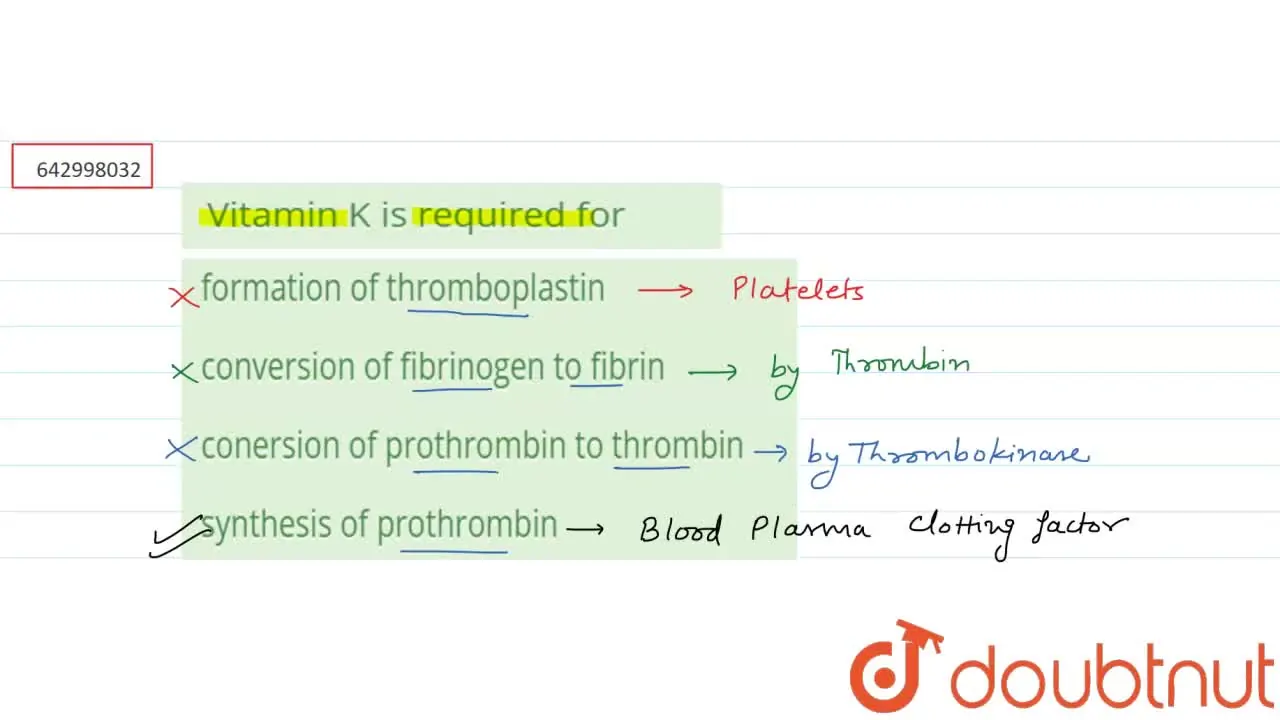 Vitamin K is required for