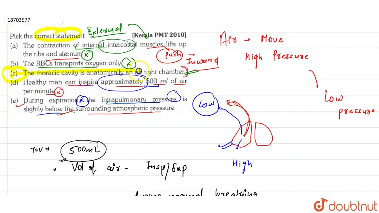 Thoracic cavity is anatomically an air tight chamber.