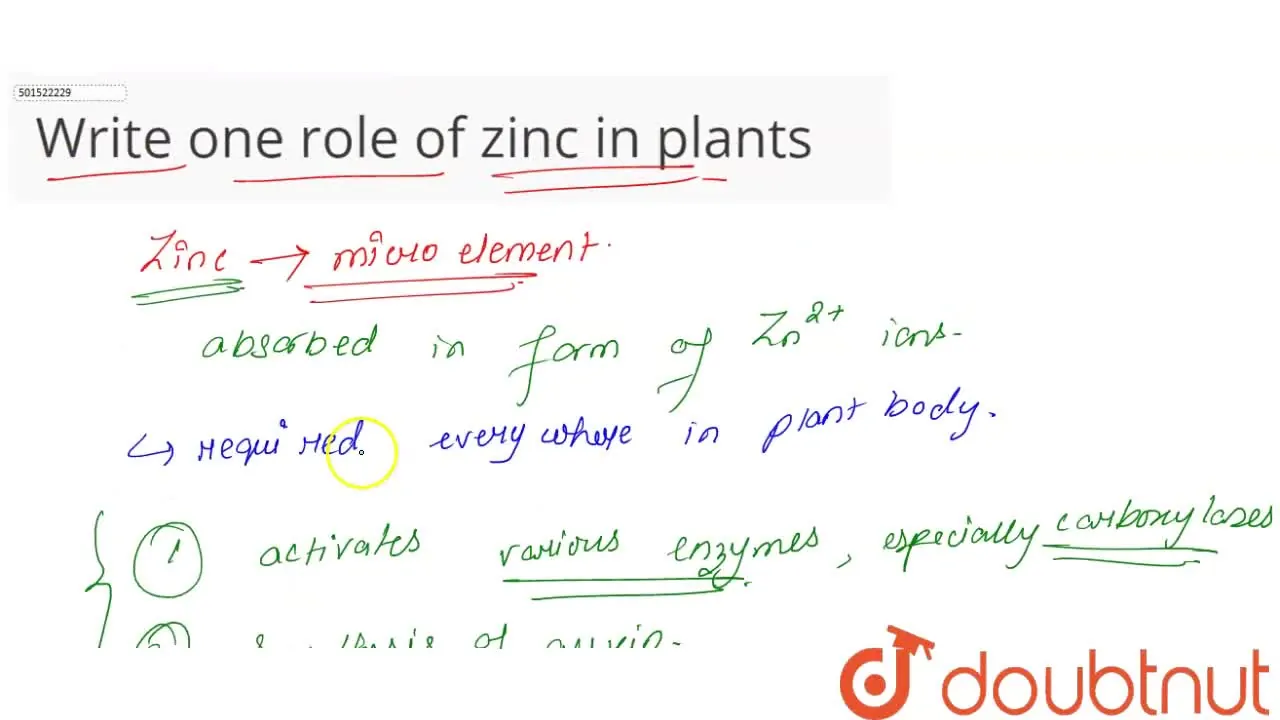 Write one role of zinc in plants