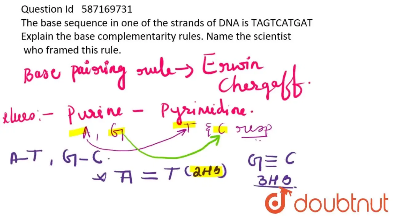 [Kannada Solution] The base sequence in one of the strands of DNA is T