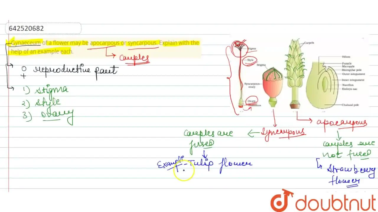 Gynaeceum of a flower may be apocarpous or syncarpous. Explain with th