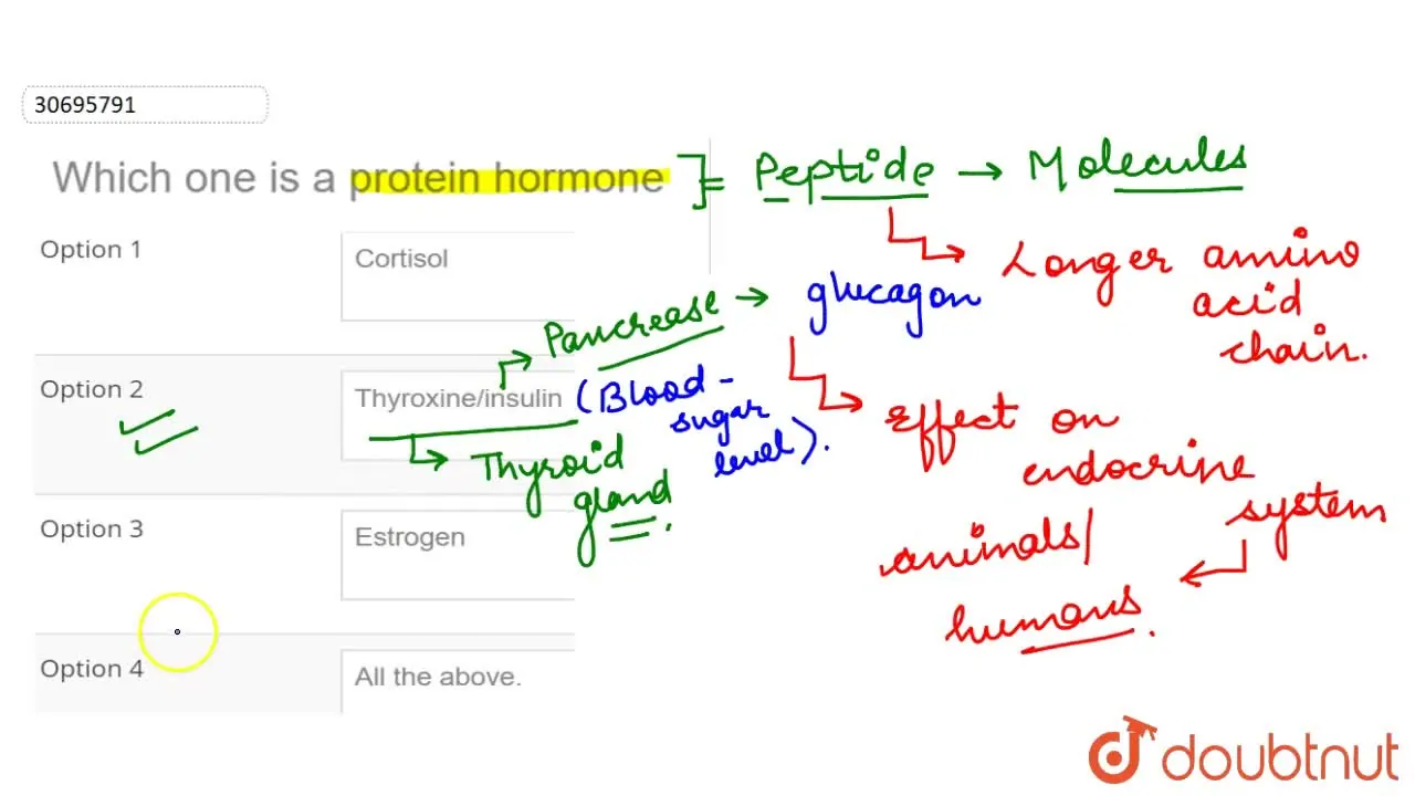 Which one is a protein hormone