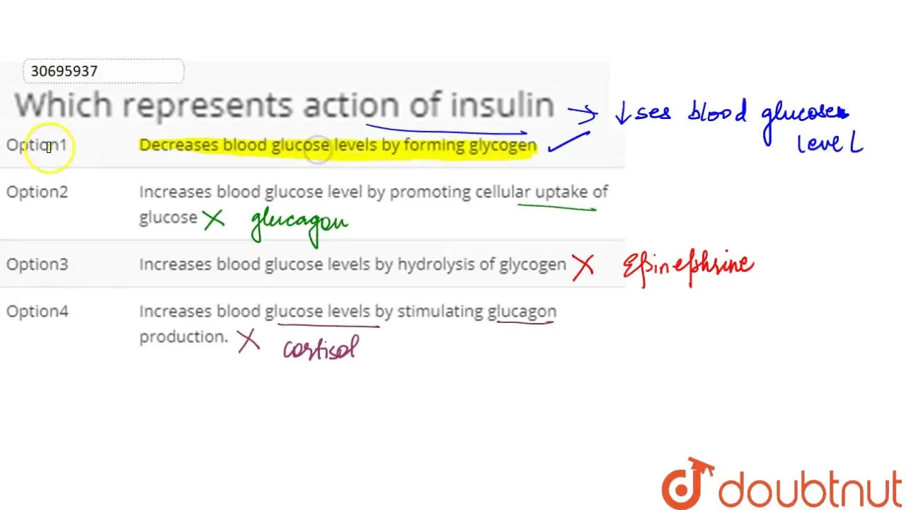 Increases blood glucose level by promoting cellular uptake of glucose