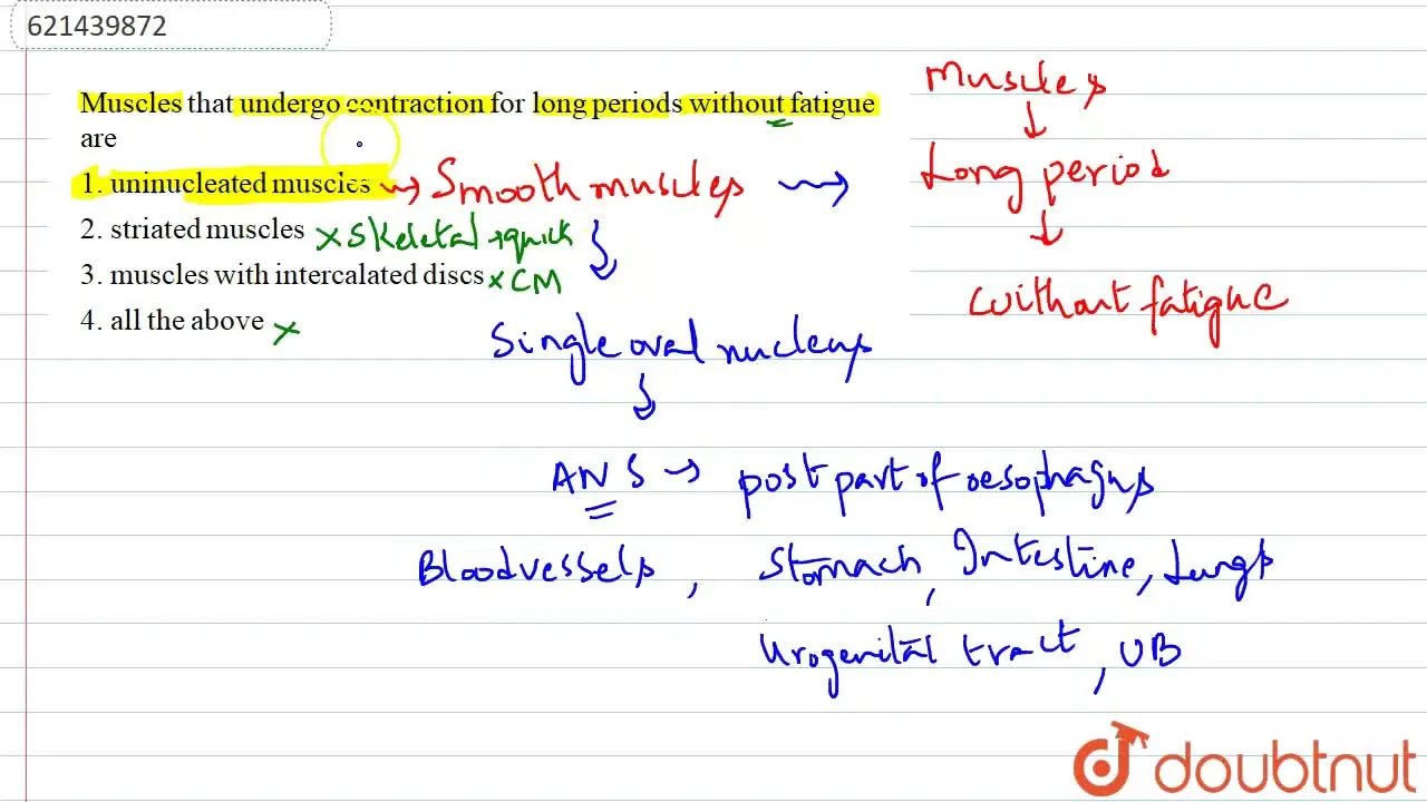 [Telugu Solution] Muscles that undergo contraction for long periods wi