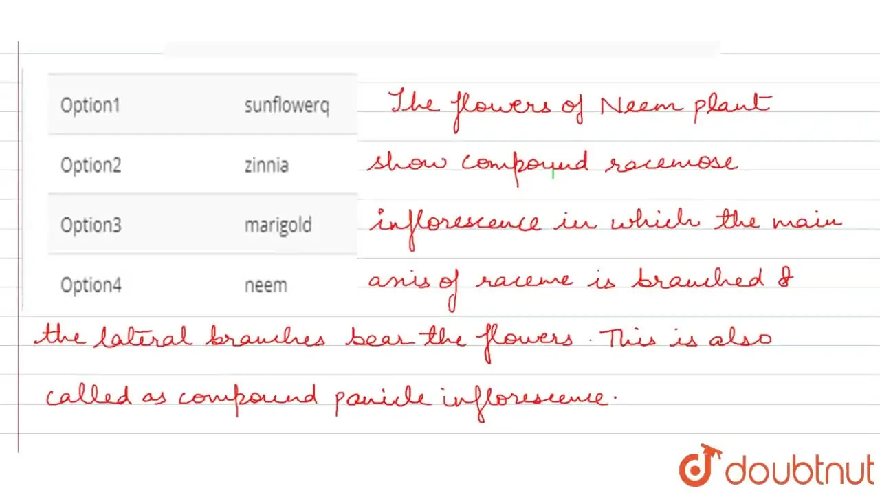 this shows compound inflorescence