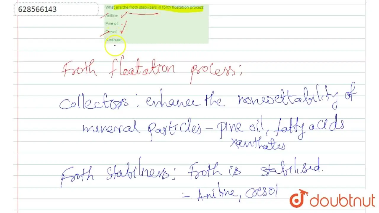[Telugu] What are the froth stabilizers in forth floatation process